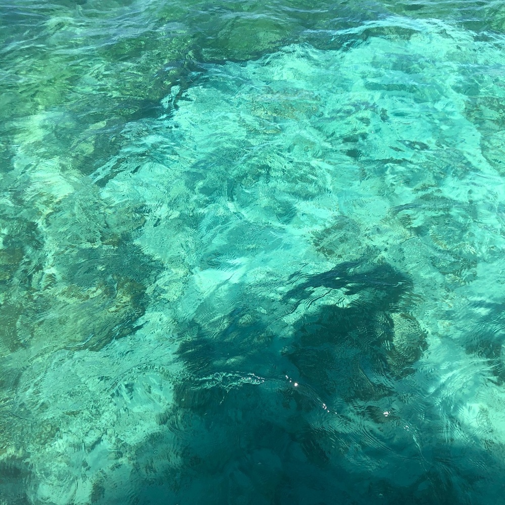 Meet your Posher, Elise